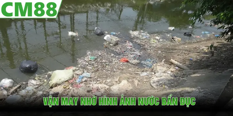 Bạn có thể tìm kiếm vận may nhờ vào hình ảnh nước bẩn đục